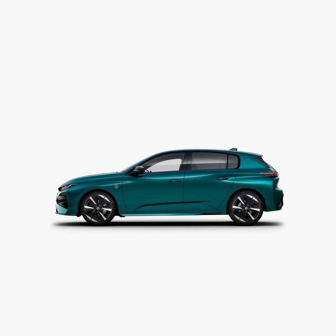 E-308 profile view